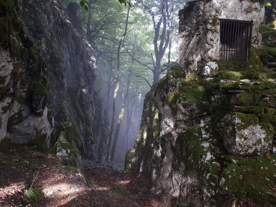 sur le chemin du belvédère