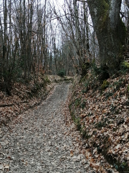 Sur le chemin du côteau