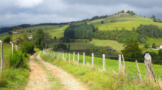 Sur le Chemin du Crêt.