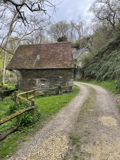 Sur le chemin du moulin