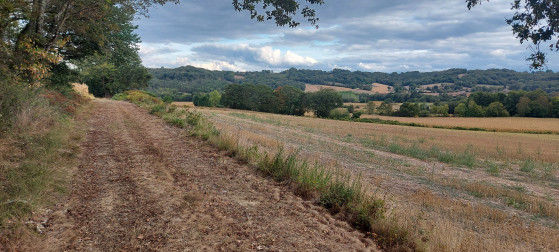 Sur le chemin du retour, dans la plaine,