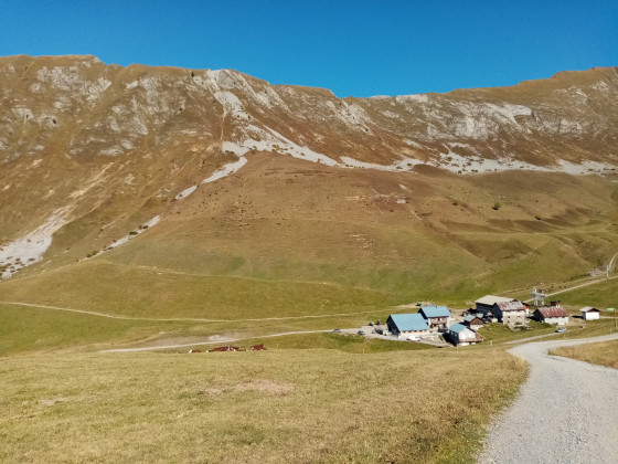 Sur le chemin du retour