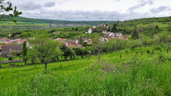 sur le chemin \