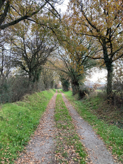 Sur le chemin