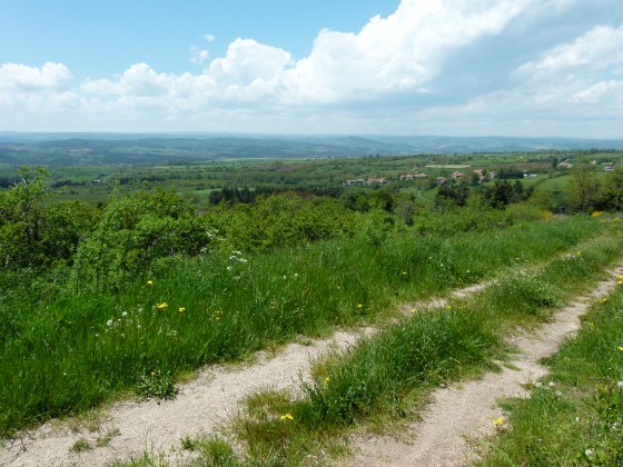 Sur le chemin