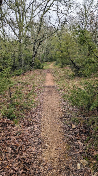 Sur le chemin