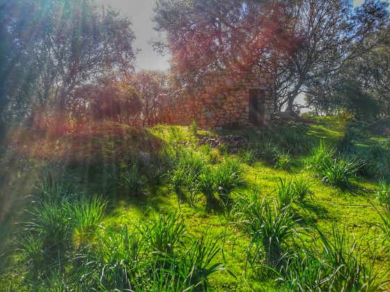 Sur le chemin