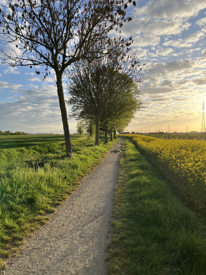 Sur le chemin