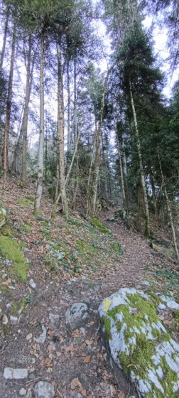 sur le d&eacute;but