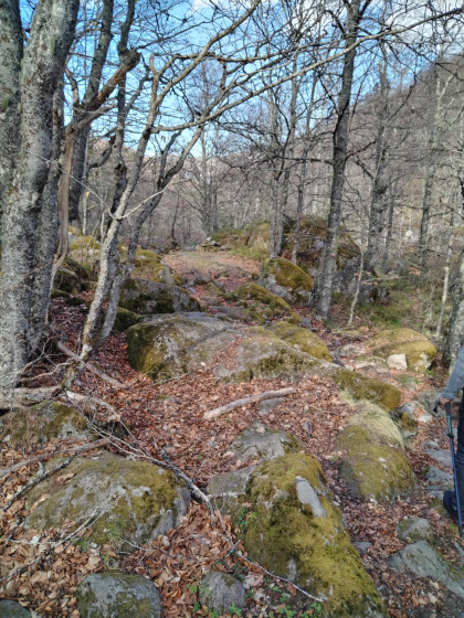 Sur le GR 10