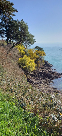 Sur le GR 34