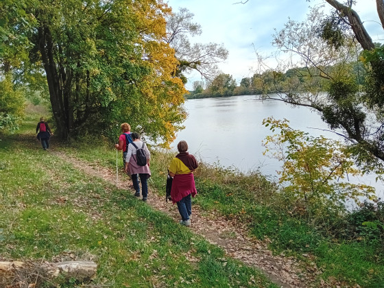 Sur le GR en bord de Loire