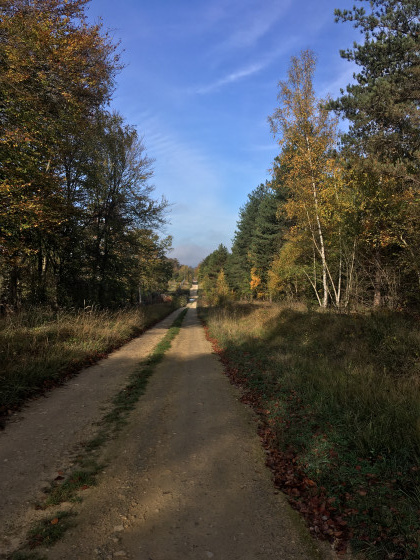 Sur le GR1