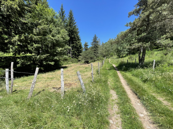 Sur le GR70 entre Chasserades et le Bleymard