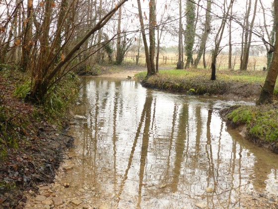Sur le GRP Thibaut de Champagne