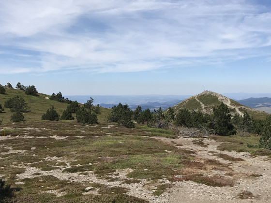 Sur le Mont Mézenc