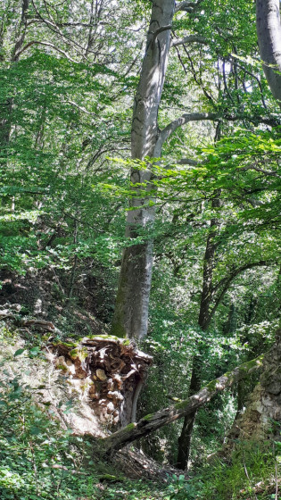 Sur le parcours des falaises entre le PI n°1 et le n°2