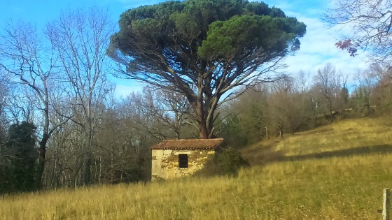 Sur le parcours