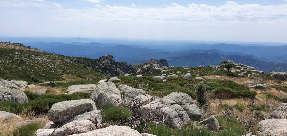 Sur le plateau au dessus des Rochers de Trenze