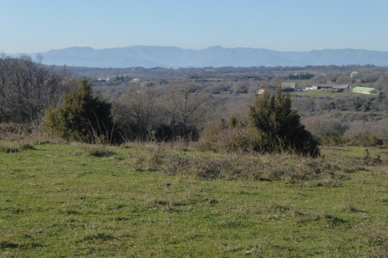 Sur le Plateau du Coiron