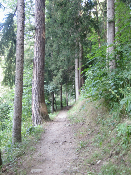 Sur le poetensteig