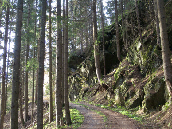 Sur le premier chemin après les lacets