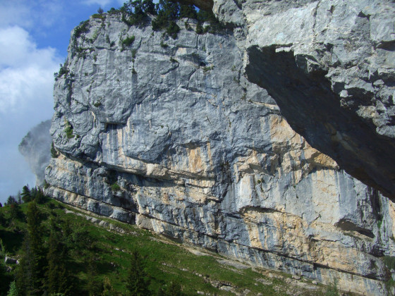 Sur le sangle supérieur