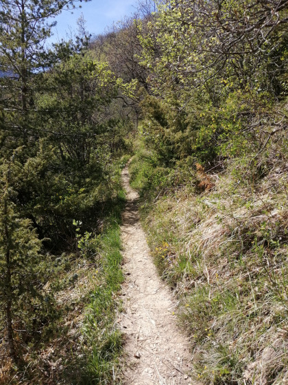 Sur le sentier après \