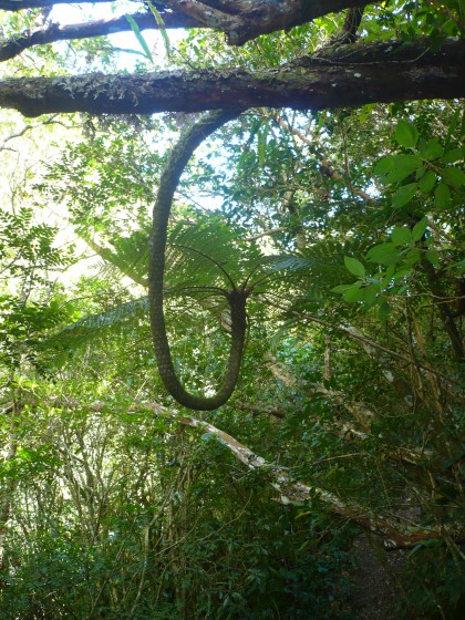 Sur le sentier Augustave