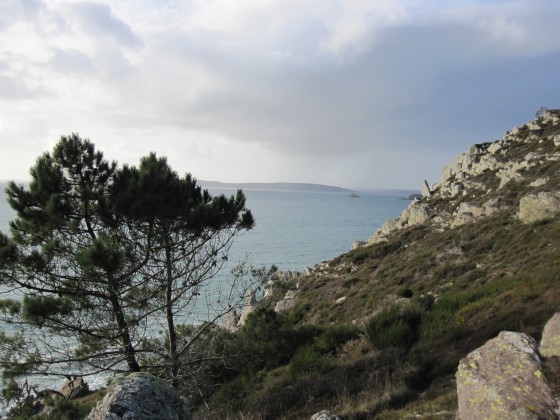 sur le sentier cotier