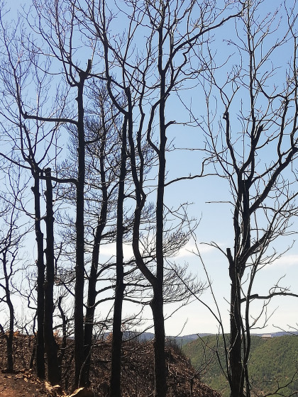 Sur le sentier de Haute rives à Anillhac