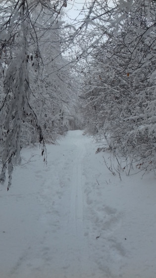 Sur le sentier de Pétouze