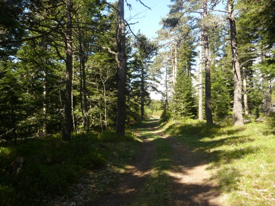 Sur le sentier des cimes