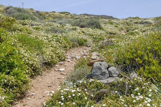 Sur le sentier des Douaniers