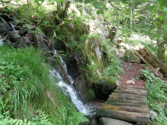 Sur le sentier du Kerbholtz