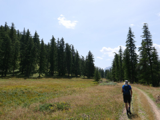 Sur le sentier du retour