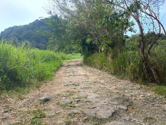 sur le sentier du Trianon non loin des champs agricoles