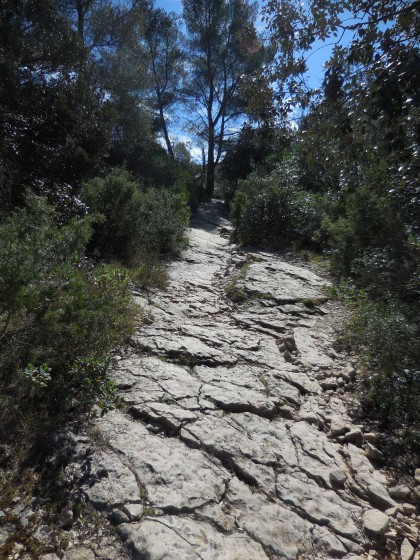 Sur le sentier GR51 vers le Coudon