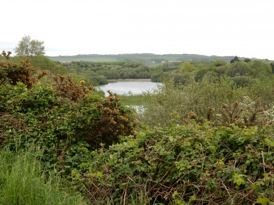 sur le sentier