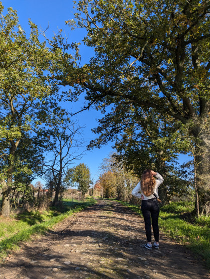 Sur le sentier