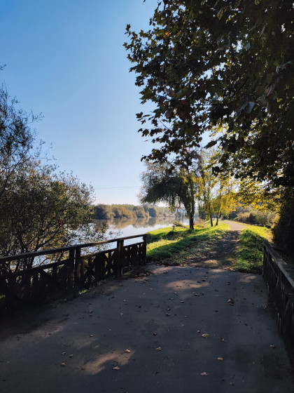 Sur les bords de la Bidouze
