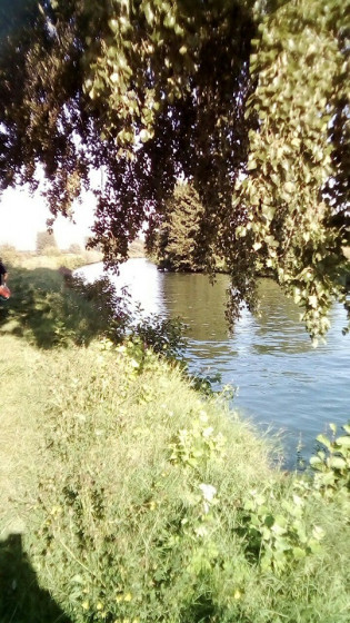 Sur les bords de La Lys