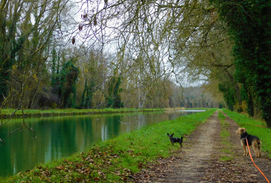 Sur les bords du Canal du Loing
