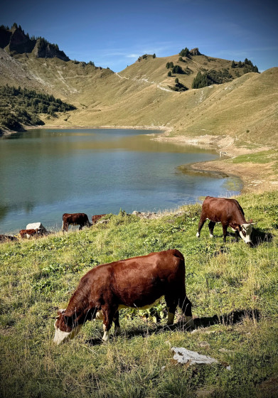 Sur les bords du lac