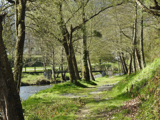 Sur les bords du Vert d’Arette