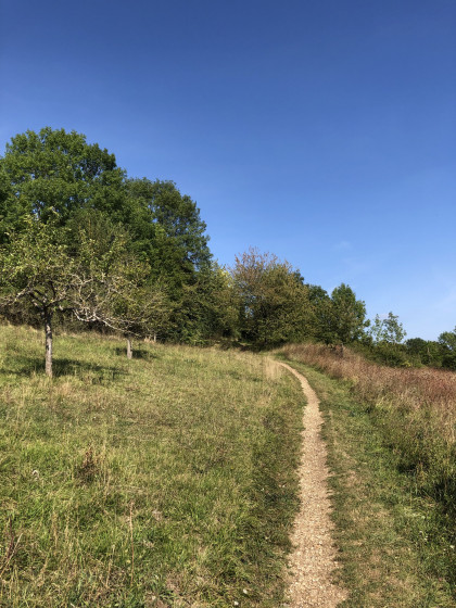 Sur les coteaux