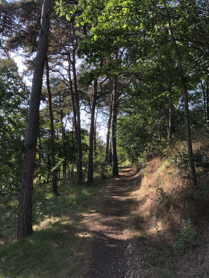Sur les coteaux