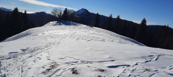 Sur les crêtes, bientôt le Crêt au Merle.