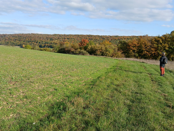 Sur les hauteurs de jaulny
