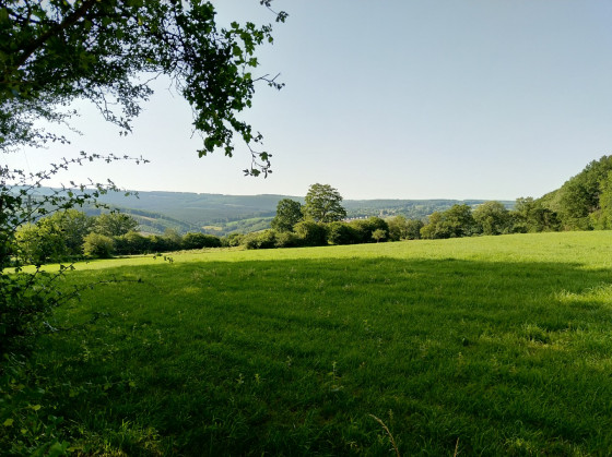 Sur les hauteurs de Winamplanche